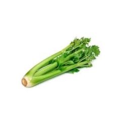 CELERY VLC                              